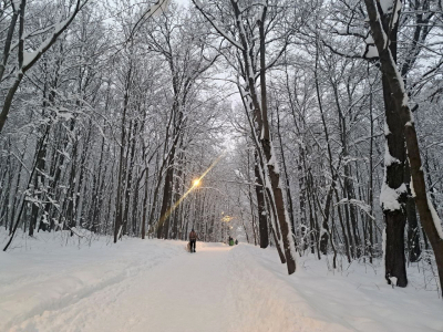 Синоптики предупредили о снежном ударе и аномальном похолодании в Приморье: дата