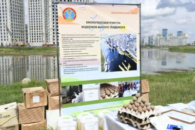 Экоакция в Астане: как микроорганизмы помогают очистке озера