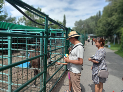 От любви до ненависти…