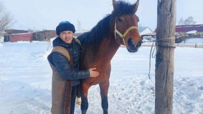 Вековые традиции в генах