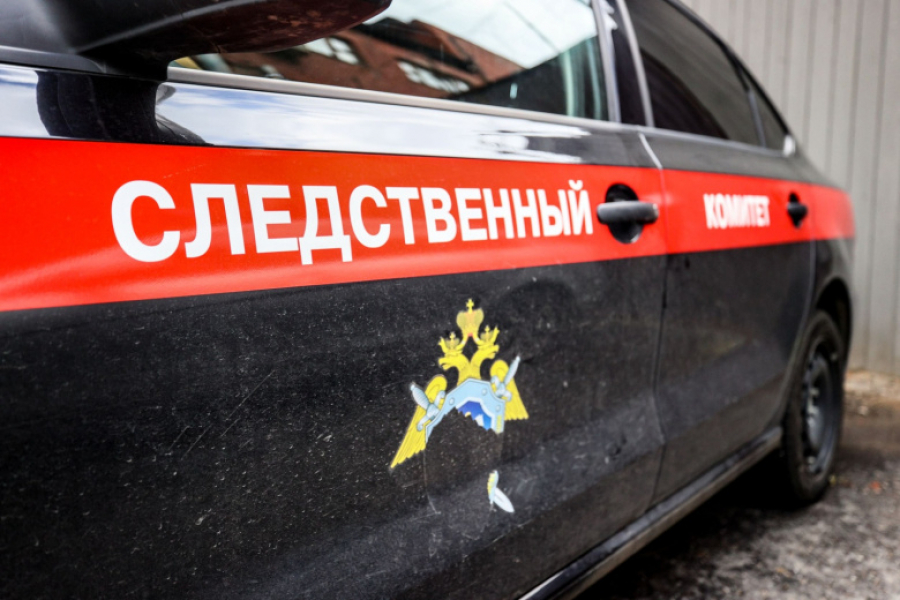 Мертвого младенца нашли в парке в Тюмени