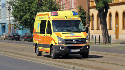 Бык смертельно ранил тореадора во время фестиваля в Испании