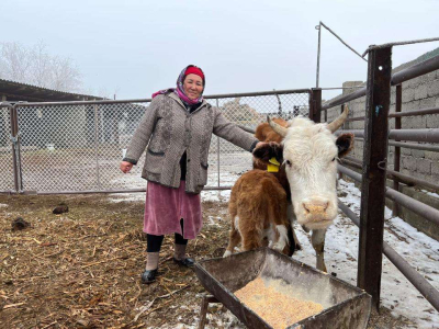 В рамках программы «Ауыл Аманаты» выдано 14,5 тыс. микрокредитов