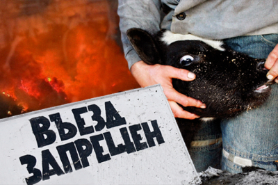 Татарстан усилил проверки на&nbsp;полицейских постах из-за пастереллеза в&nbsp;соседних регионах