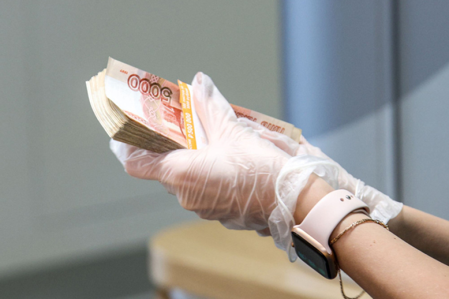 В Госдуме объяснили, как изменятся условия снятия средств по ПДС