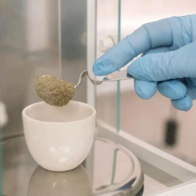 Пищеварительная ценность злаковых и бобовых трав для молочных животных