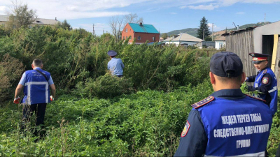 В Акмолинской области полицейские ликвидировали плантацию конопли