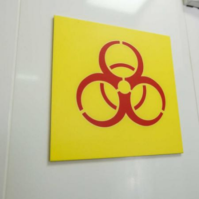 Врач-инфекционист объяснил причину высокой смертности от хантавируса Андес