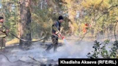 По делу о смертельном пожаре в «Семей орманы» осуждены двое сотрудников резервата