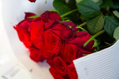 SHOT: причиной смерти телеведущего Олейникова стал оторвавшийся тромб