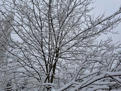 Дожди и снег накроют Приморье: хабаровский циклон приближается к региону