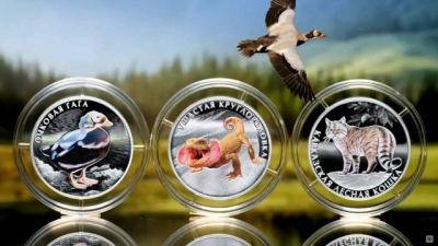 Кавказская кошка, очковая гага и ушастая круглоголовка: ЦБ представил новые монеты