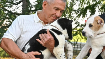 Туркменский лидер подарил Минниханову пару алабаев 23/05/2026 &ndash; Новости