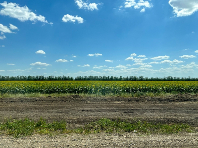 Темрюкский район Кубани теряет 25 гектар сельхозземель