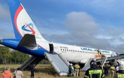 Самолет Сочи-Омск совершил экстренную посадку в поле. Подробности