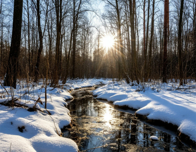 В Москве проверяют гибель краснокнижного бобра в районе Нагатинский затон