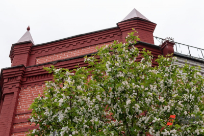 В Екатеринбурге станет проще рубить деревья