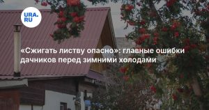 «Сжигать листву опасно»: главные ошибки дачников перед зимними холодами