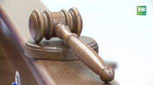 В Татарстане хозяин акиты заплатил 150 000 за нападение на ребенка
