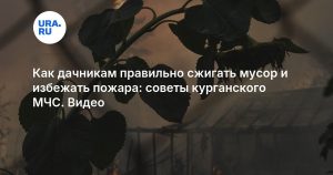 Как дачникам правильно сжигать мусор и избежать пожара: советы курганского МЧС. Видео