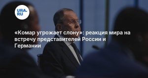 «Комар угрожает слону»: реакция мира на встречу представителей России и Германии