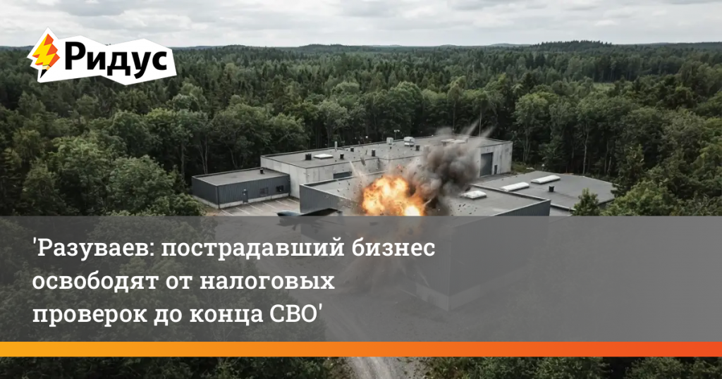 Разуваев: пострадавший бизнес освободят от налоговых проверок до конца СВО