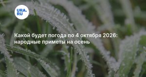 Какой будет погода по 4 октября 2026: народные приметы на осень