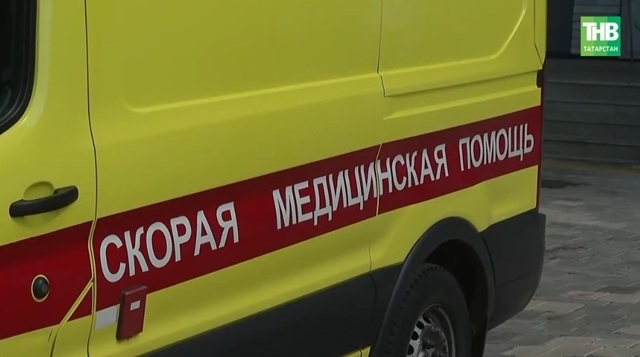 Мужчина погиб от лап медведя, собирая клюкву на Камчатке