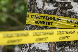 В России выросло количество преступлений, совершенных этническими группировками