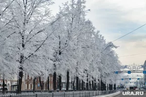 Каким будет декабрь: приметы по первому снегу и Покрову