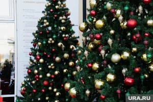 В Госдуме рассказали, будет ли рабочий день 30 декабря сокращенным