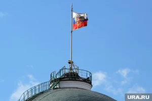 «Кровавый клоун»: как в России ответили на истерики Зеленского и выпады Трампа