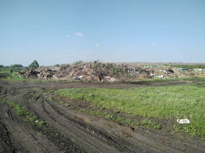 Крупную свалку в Апастовском районе ликвидируют за «зеленые» деньги