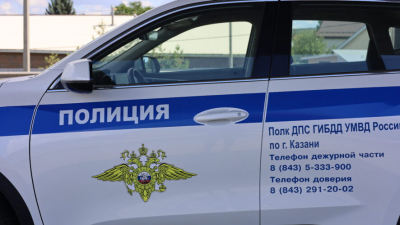 В Елабуге двух водителей «Лады» наказали за тонировку, мигалку и отсутствие номеров 22/04/2026 – Новости