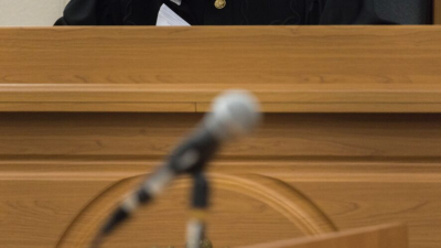Две юные девушки предстанут перед судом за убийство женщины и ее маленького сына 17/02/2026 – Новости