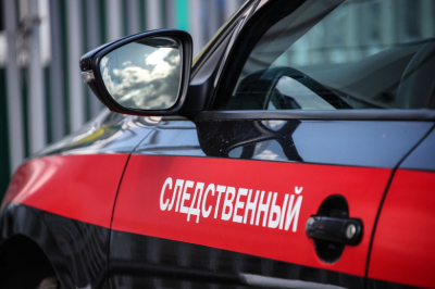 Криминалист назвал наиболее вероятные версии пропажи девочки в Смоленске